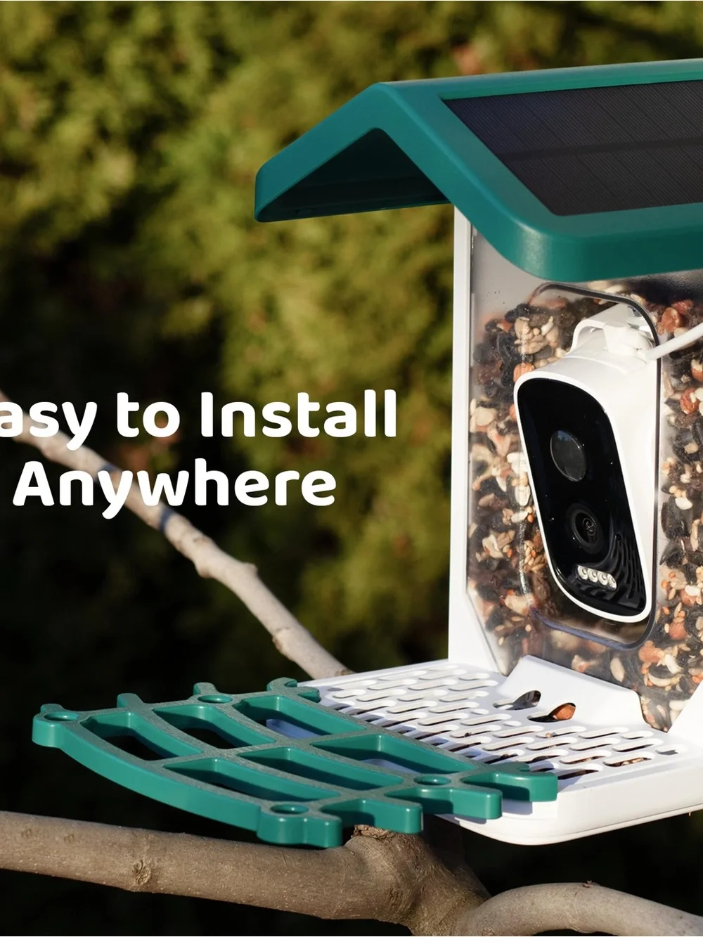 Happy Birdy Smart Bird Feeder 2.5K Camera Solar AI Bird Recognition WiFi